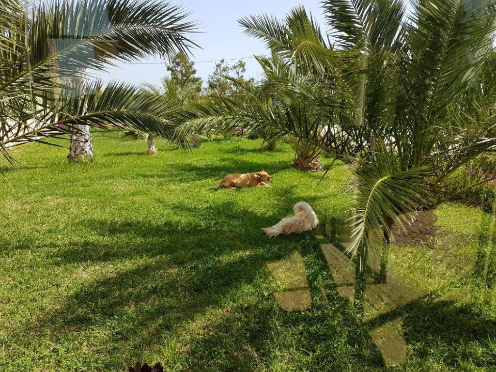 Les Jardins De Mogador Yoga Et Spa 에사우이라 외부 사진