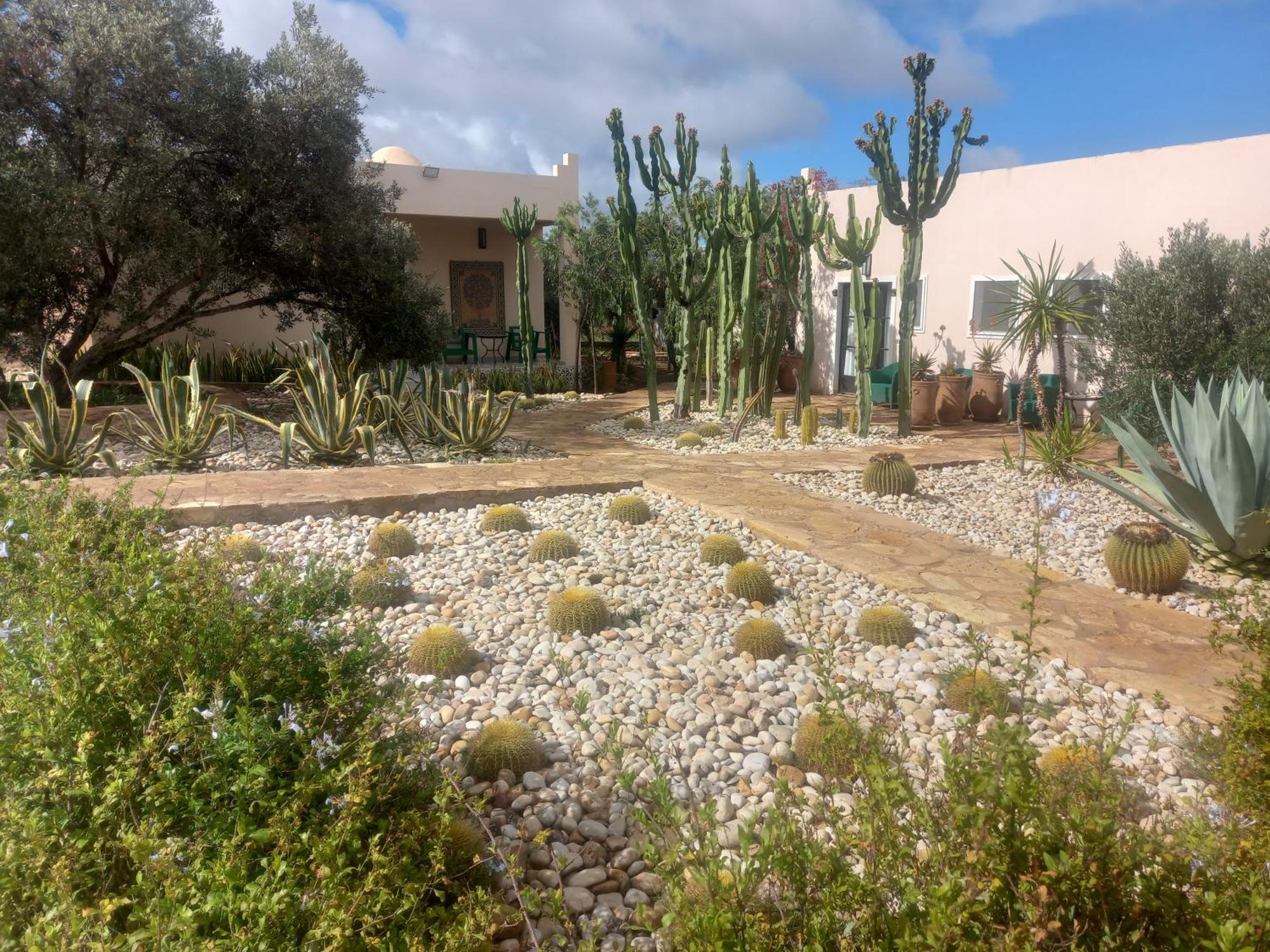Les Jardins De Mogador Yoga Et Spa 에사우이라 외부 사진